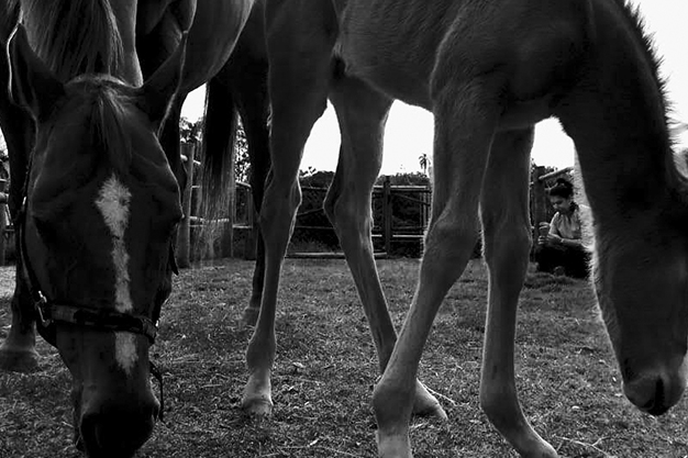 ATONIA VESICAL REVERSÍVEL COMO CONSEQUÊNCIA DE COMPACTAÇÃO DE MECÔNIO – RELATO DE CASO