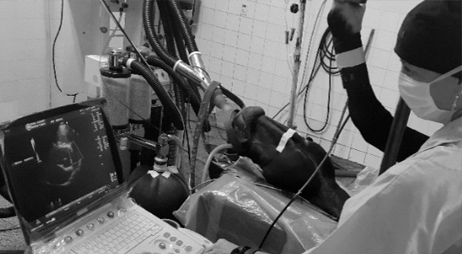 Como diagnosticar o abdômen agudo