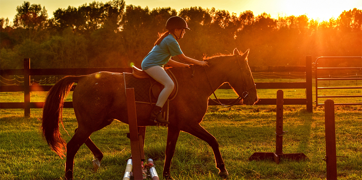 Desmite Suspensora: Lesões dos Ramos