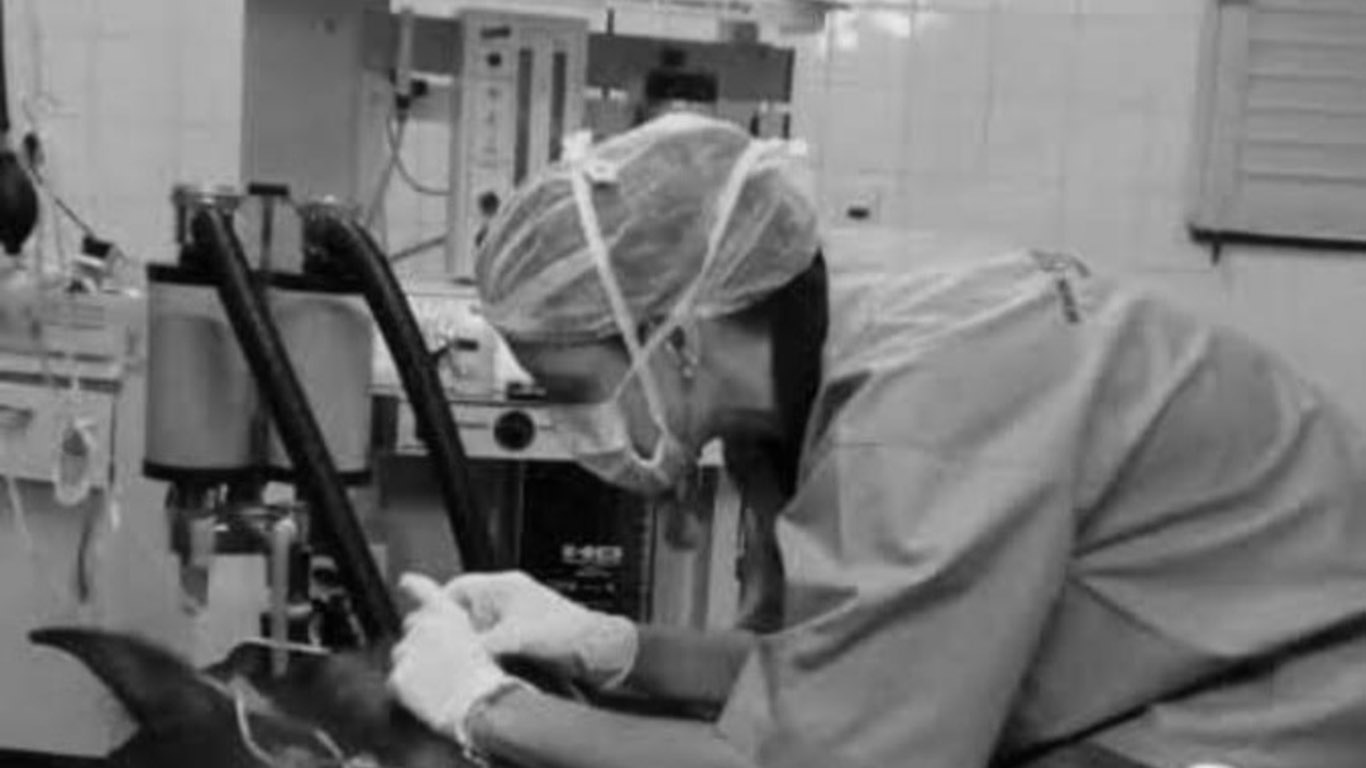 Os 9 deveres do anestesiologista de equinos