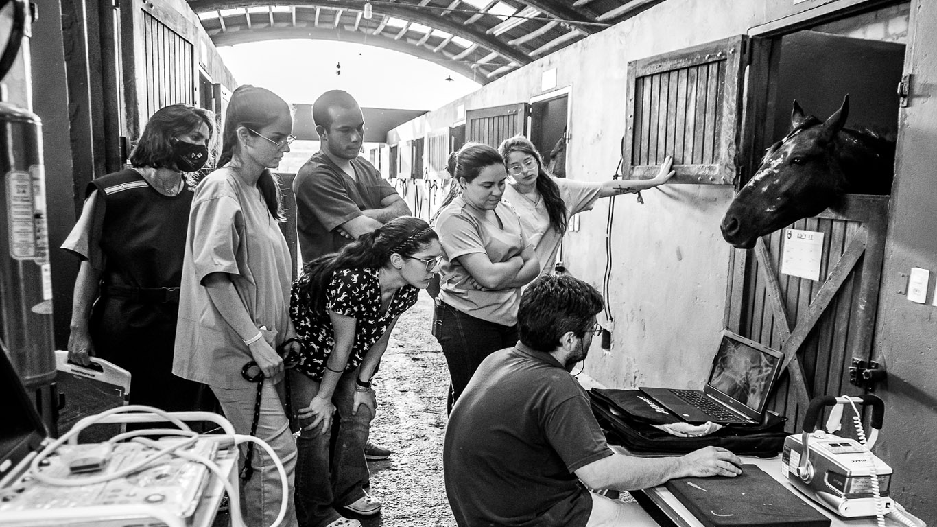 Por que fazer estágio no Hospital Veterinário Eqüivet?