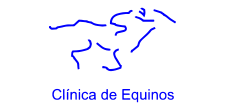 Clínica de Equinos